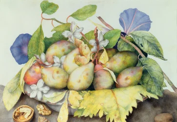 Stilleven met Pruimen, Walnoten en Jasmijn